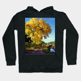 Fall Along the Ditch Hoodie